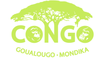 Goualougo Ape Project